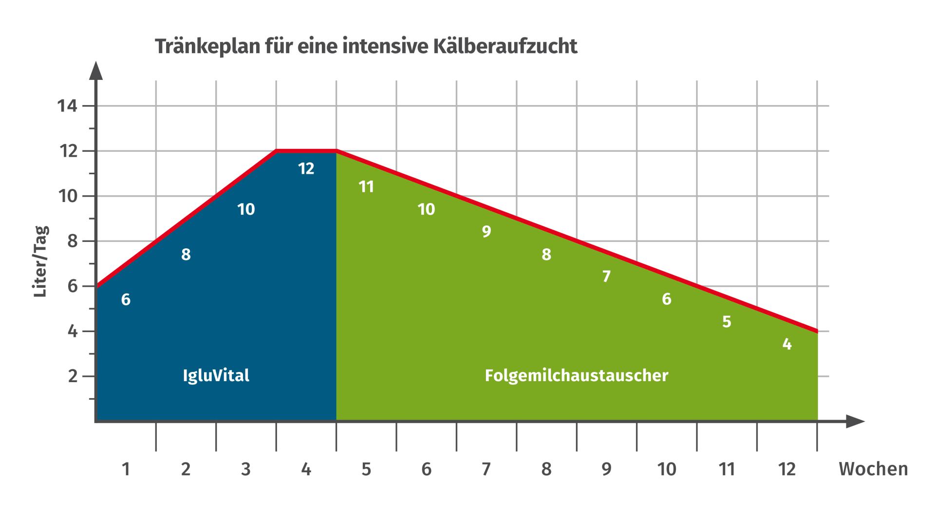 Tränkeplan Kalb