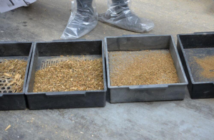 Sch&uuml;ttelbox-Analyse &ndash; Schl&uuml;ssel zur optimalen Futterstruktur im Milchviehbetrieb