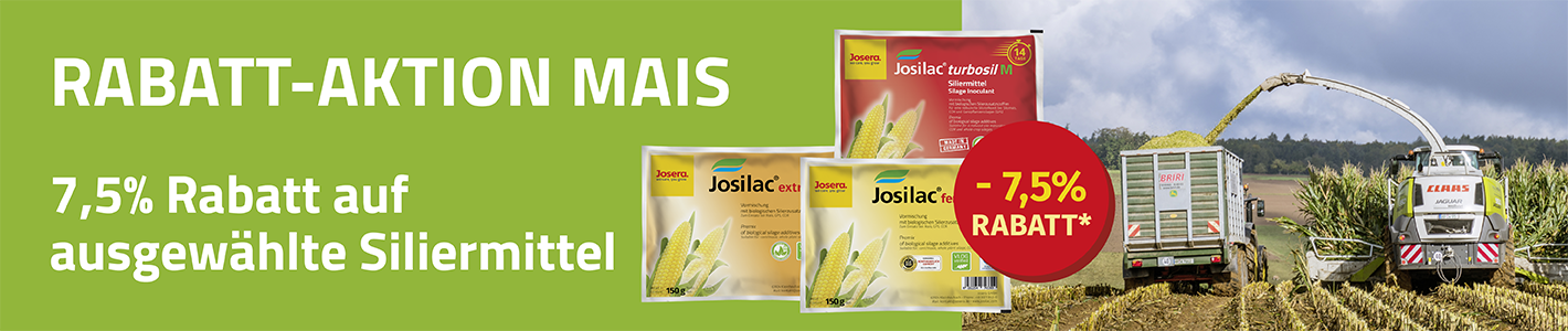 Maissilage