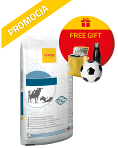 Zdjęcie promocyjne DairyZym