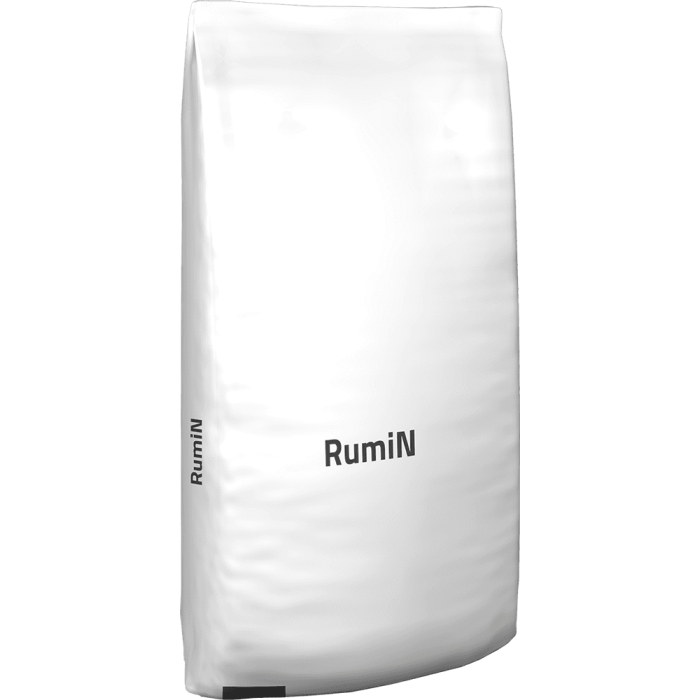 RumiN