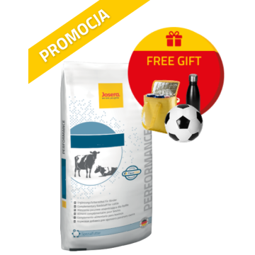 Zdjęcie promocyjne DairyZym