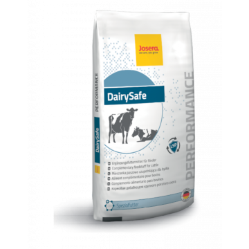 Mieszanka uzupełniająca dla krów mlecznych DairySafe                            