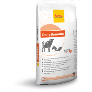 Mieszanka mineralno-witaminowa dla krów mlecznych DairySomatic                            