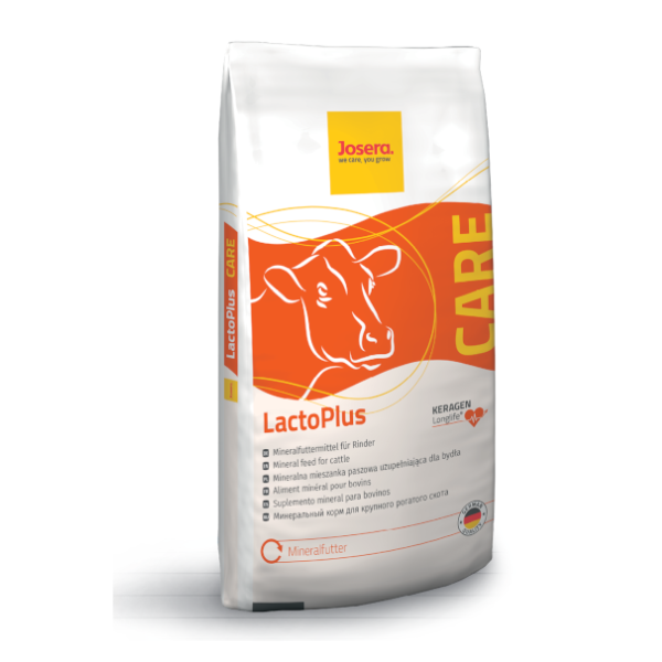 Mieszanka mineralna dla krów mlecznych LactoPlus Forte 25kg