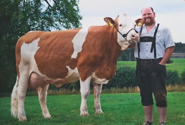 Landwirt Hutter mit seiner Kuh