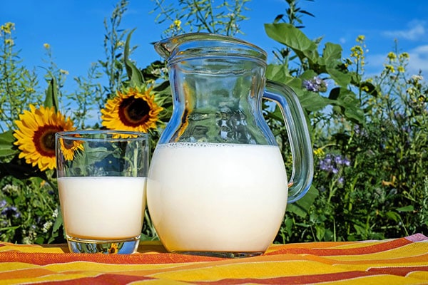 Milchinhaltsstoffe durch Fütterung der Rinder