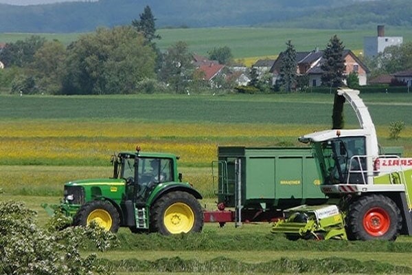 Zastosowanie inokulantów do kiszonki: klucz do produkcji optymalnej paszy objętościowej