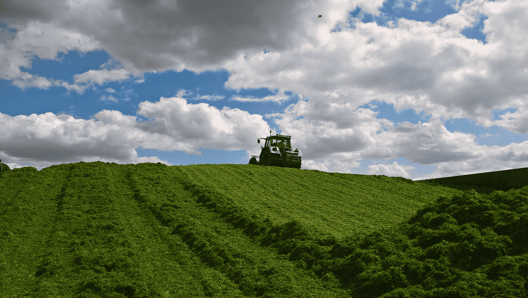 Die perfekte Grassilage - so geht's richtig!
