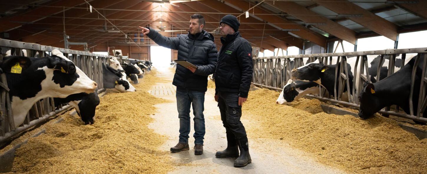 FarmCHAMPs Berater zeigt Landwirt Kuhsignale