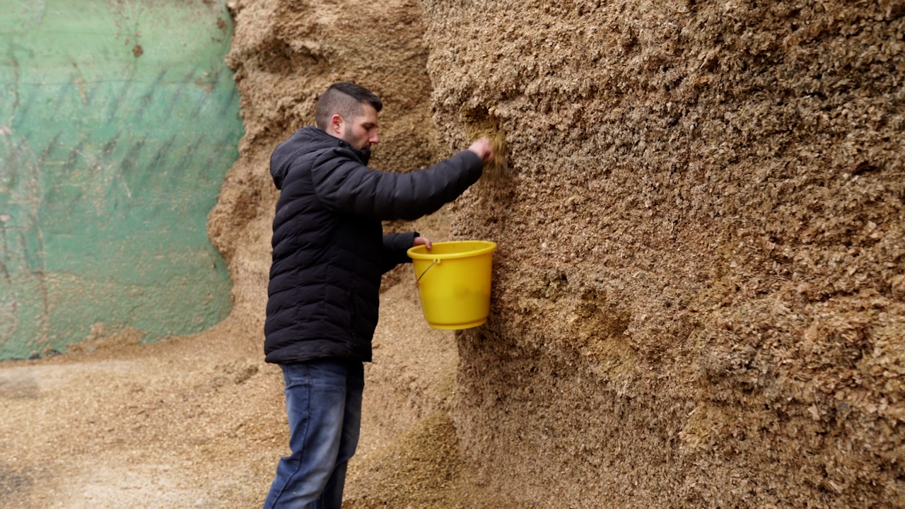 Silo-Probe ziehen für Mineralstoff-Analyse