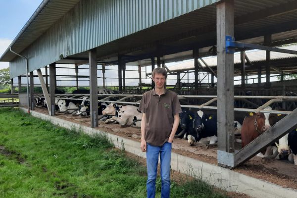 JOSERA DairyPilot – für einen guten körperlichen Zustand der Kühe