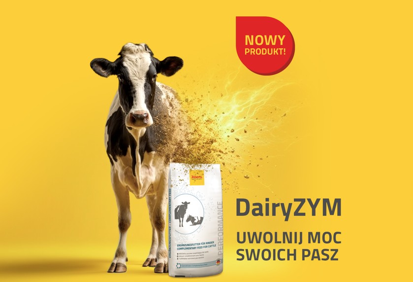 Jak zwiększyć pobranie wartościowej paszy u krów mlecznych? Praktyczne przykłady i nowoczesne wsparcie.