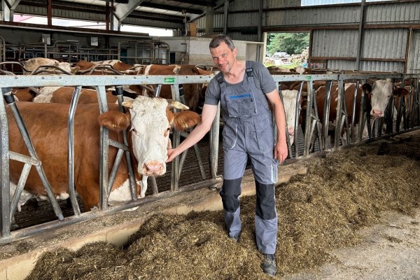 JOSERA DairyPilot – für eine gesunde und leistungsfähige Herde