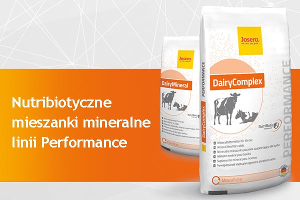 Poprawa zdrowotności krów z NutriBiotic