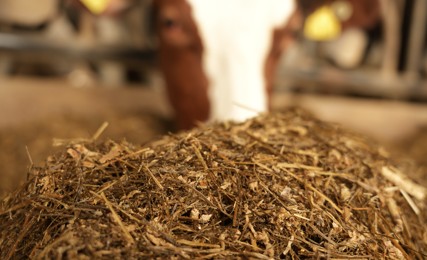 Selektywny stół paszowy: Dlaczego krowy sortują TMR 